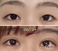 苏薇洁和徐晓斐谁