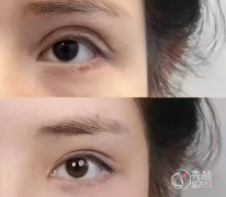 孔宇和田国静谁修